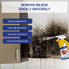 MoldAway™ - Mold Removal Spray