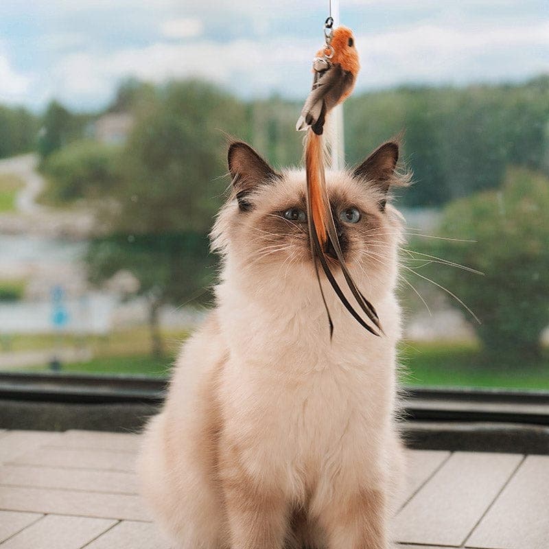 Pawtopia Flutter Bird Toy
