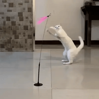 Pawtopia Flutter Bird Toy